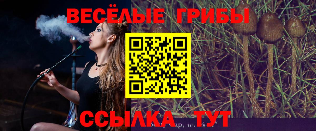 Галлюциногенные грибы ЛСД  где можно купить наркотик  Елизово  Вход с VPN 